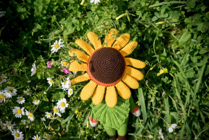 Sam, the Sunflower - Image 4