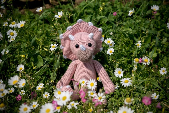 Tricia and Topsie - Image 4