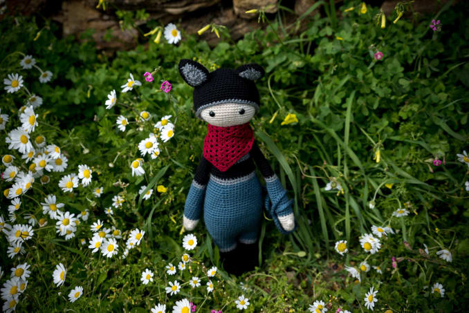 Roco, the Racoon - Image 3