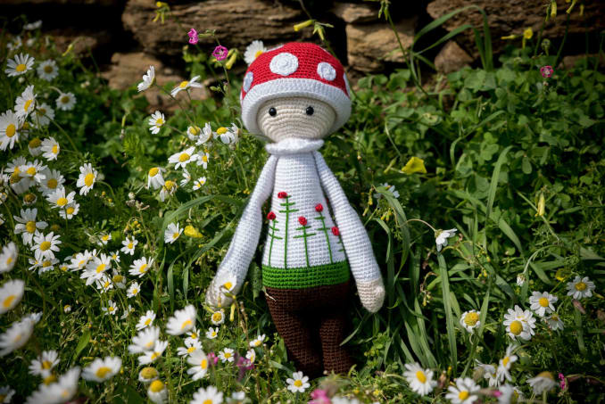 Paul the Mushroom - Image 1