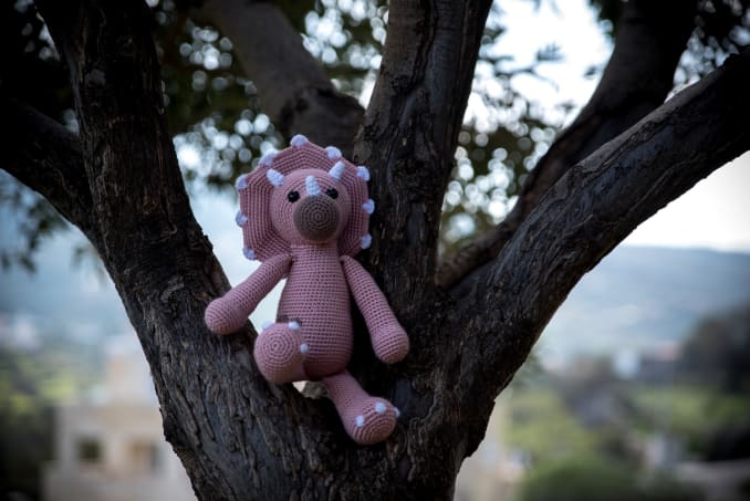 Tricia and Topsie - Image 6