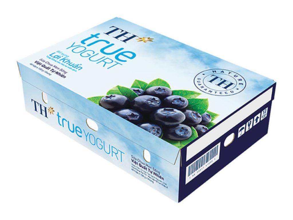 TH true YOGURT Natural Blueberry Stirred Yogurt 100g (Carton of 48 Cups / Fresh Milk & Probiotics)