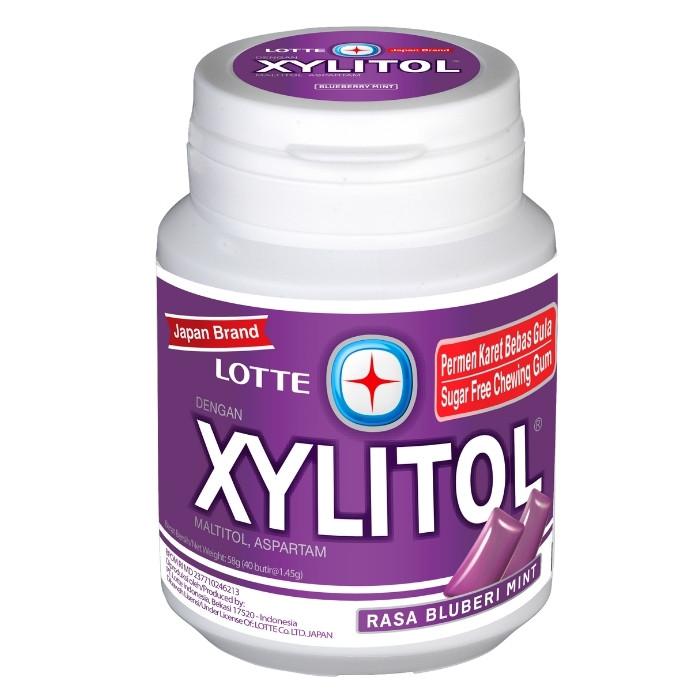 Xylitol Blueberry Chewing Gum 130.5g