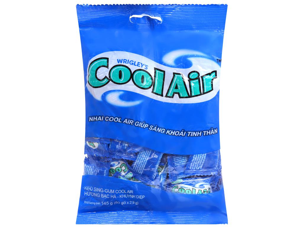 Cool Air Eucalyptus Mint Chewing Gum 145g
