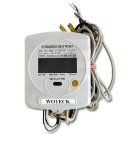 Woteck Taiwan Smart Ultrasonic Water Flow Meter (IP68)