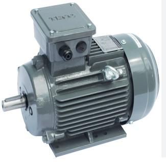 Motor điện AESV-4P-7.5HP