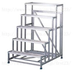 THM5I Stainless Steel Fixed Ladder