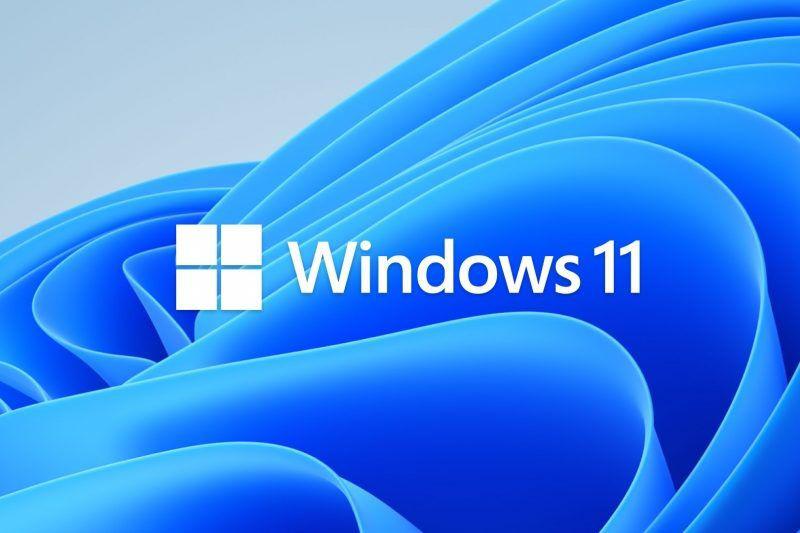 Phần mềm Windows 11 Pro 64-bit OEM