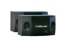 California ST-888T プロフェッショナル カラオケ＆ホームシアター スピーカーシステム (デュアルウーファー＆高音ツイーター)