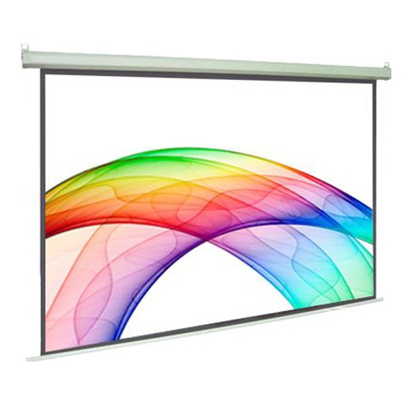 Dalite 100-inch Wall Mounted Projector Screen