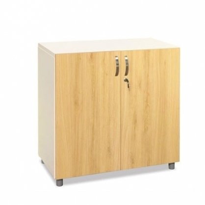TSG02-2 Iron Cabinet with Wooden Doors
