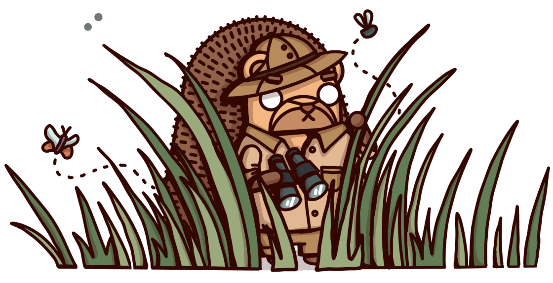 The naturalist watching from the long grass