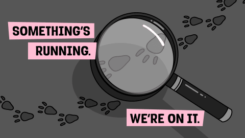 The clues were there all along. Tracing is now in beta