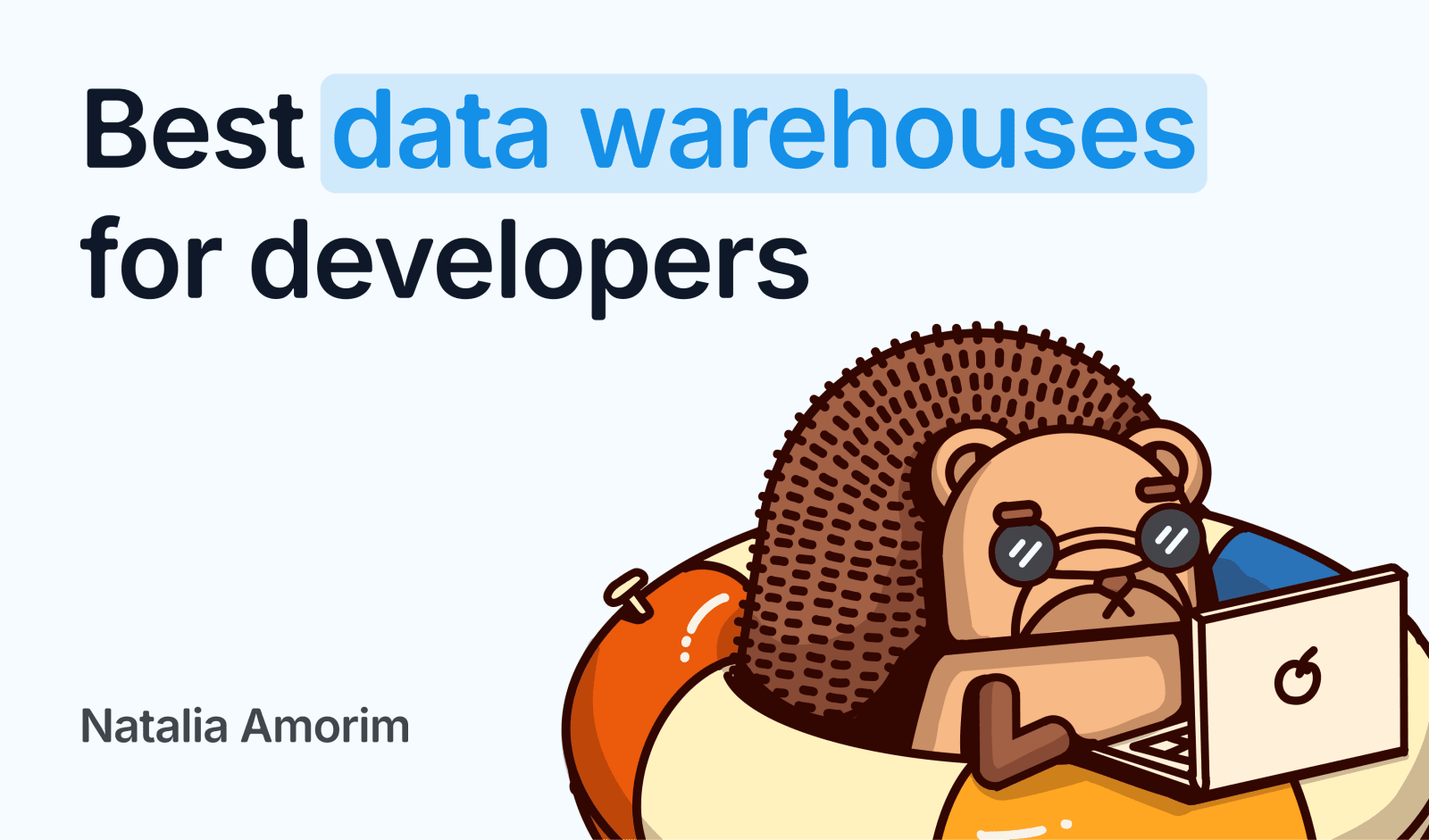 The best data warehouses for developers, compared