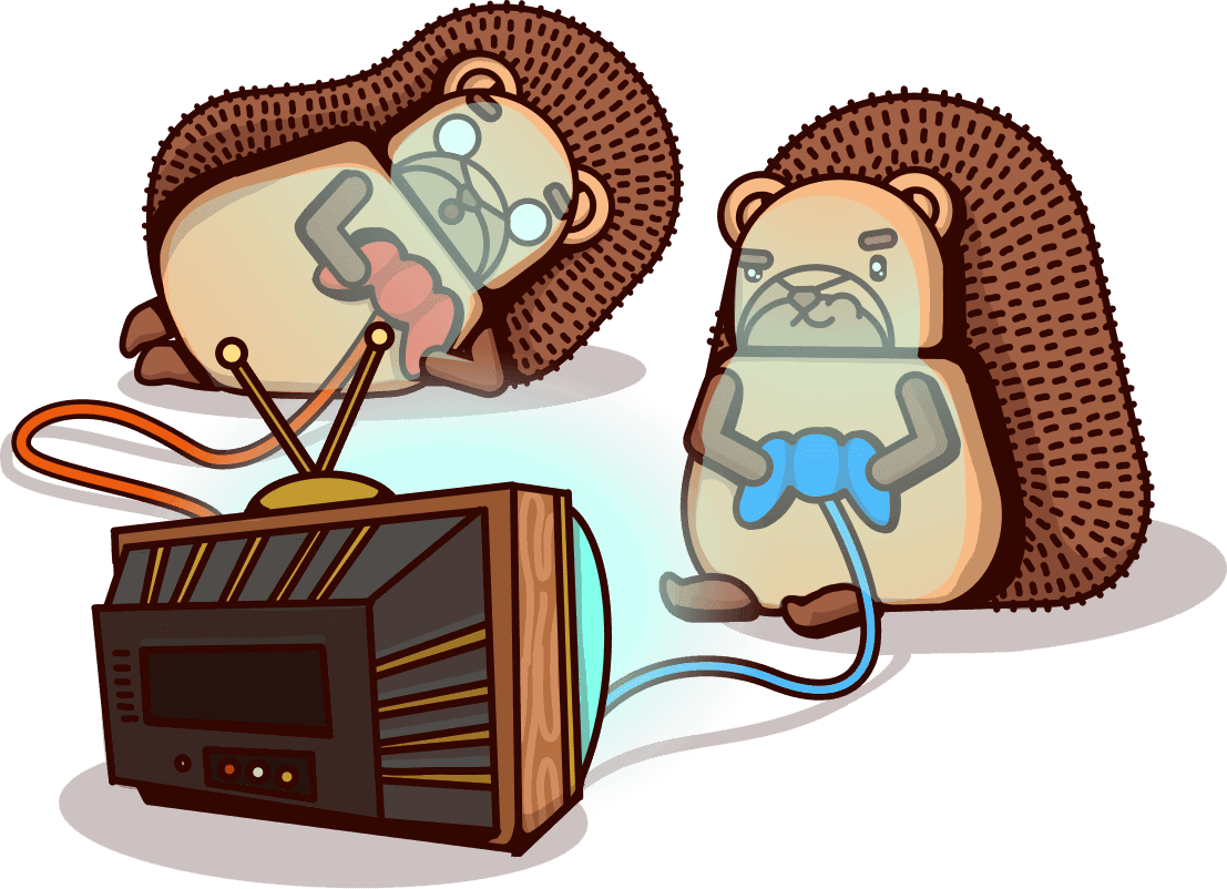Two hedgehogs building something together
