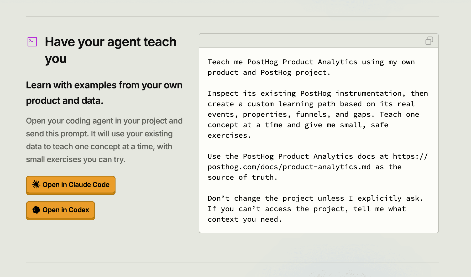 Agent prompt for learn by agent
