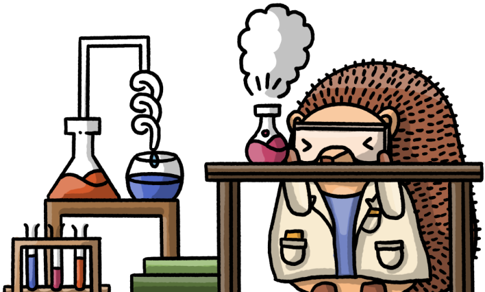 Hedgehog experimenting