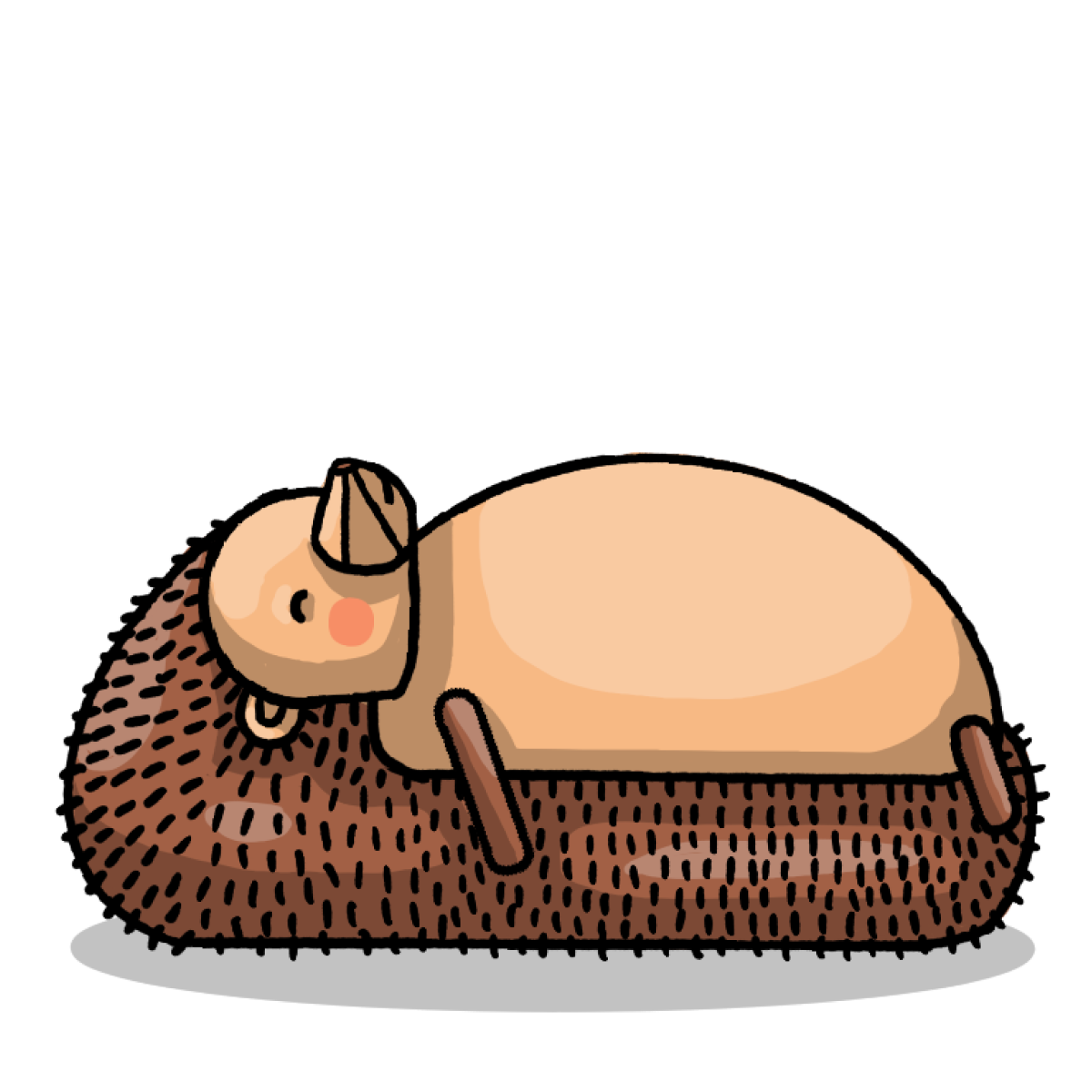 Sleeping hedgehog