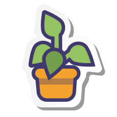 Growth