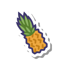 Developer Experience