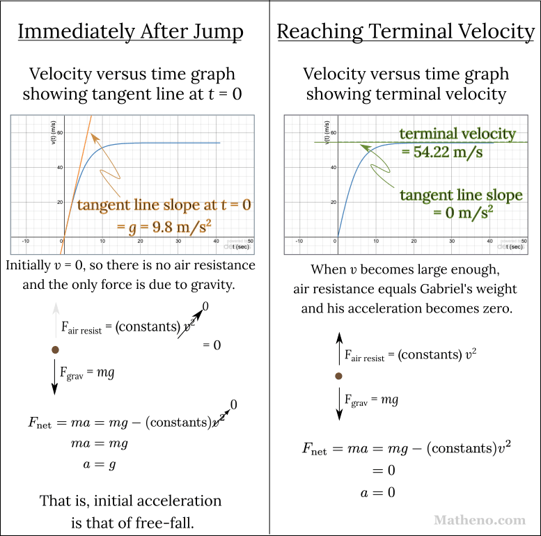 Left figure shows Gabriel's velocity versus time graph and tangent line at t=0, with slope equal to g = 9.8 m/s^2. Text shows air resistance = 0, so the net force is due to gravity alone, leading to acceleration equal to g. Right figure shows the velocity curve leveling off at 55.22 m/s, and tangent line with slope equal to 0 since the curve is essentially horizontal. Text and figure show air resistance equal in size to Gabriel's weight, so the net force on him is zero, leading to 0 acceleration.