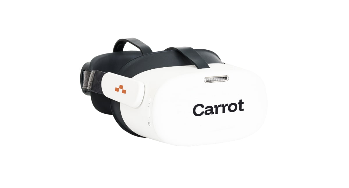 VirtualField Perimetry