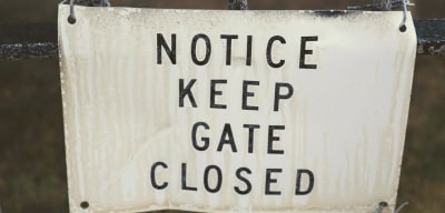 Why Regular Updates Keep Patients From Drifting to Chains