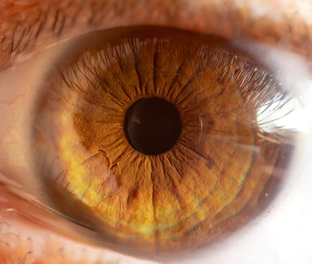 Progressive Lenses Explained: Myths, Facts, and What to Expect