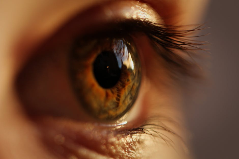 The Complete Guide to Annual Comprehensive Eye Exams