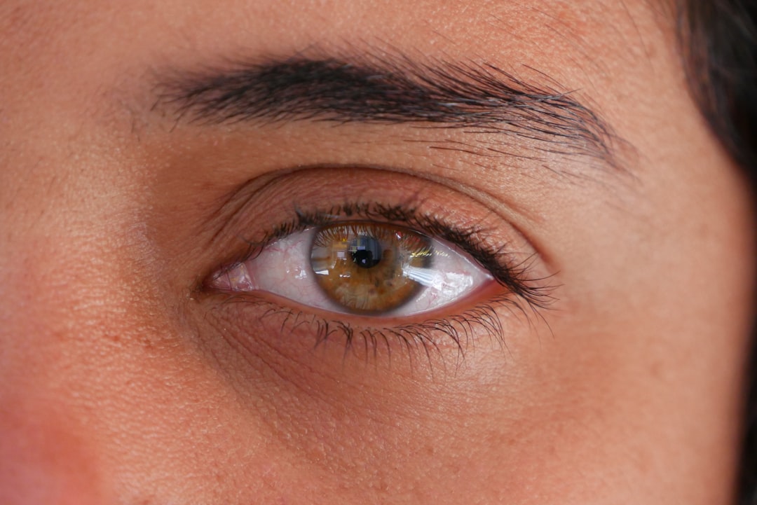 Understanding Macular Degeneration: Key Insights and Information