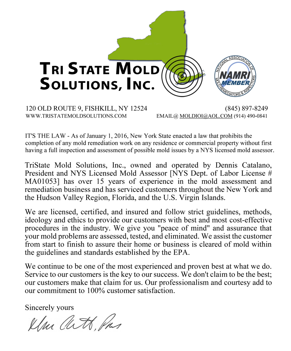 Tri State Mold Solutions, Inc logo