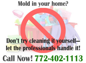 Sani Tech Environmental - Mold in your home graphic