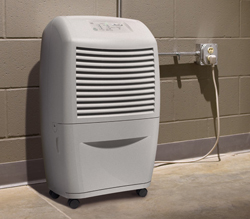 habitat safe solutions - Basement dehumidifier