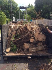 Mark Anthony Hauling Yard Debris In Truck