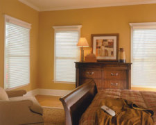 Comfortex Horizontal Mini Blinds