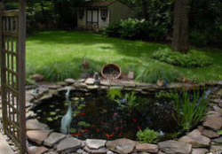 Mark Douglas Lawncare Inc. - Pond with grass