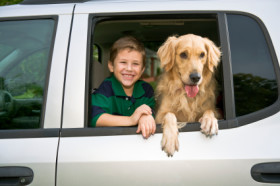 A young boy and a golden retriever looking out a car window