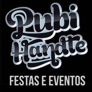 Pubi Handte