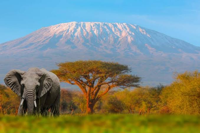 Mt. Kenya Team Building