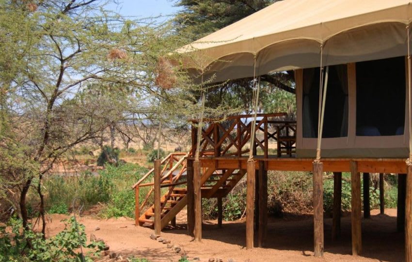 3 Days Elephant Bedroom Camp Valentine Experience