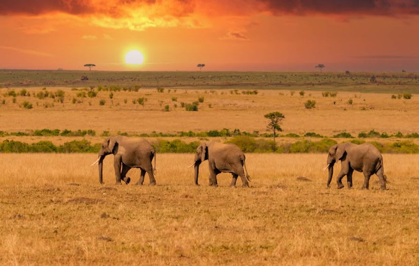 3 Days, 2 Nights Maasai Mara Easter Weekend Group Joining Safari thumbnail 2