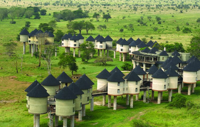 3 Days, 2 Nights Tsavo Jamhuri SGR Safari Packages thumbnail 2