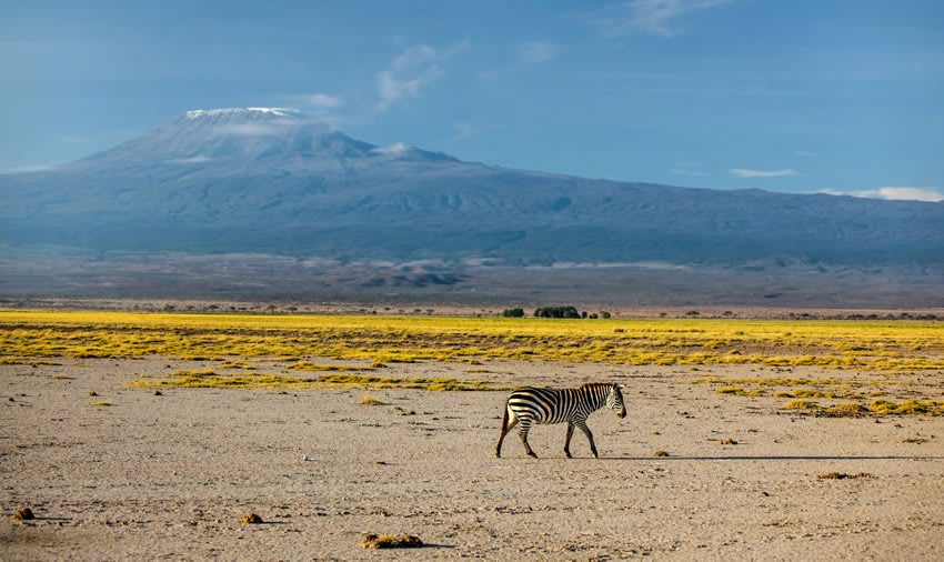 3 Days Amboseli Christmas Safari Packages thumbnail 7
