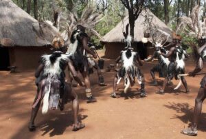 Unleash Our Junior Explorer Fun in Nairobi thumbnail 2