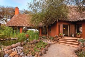 3 Days, 2 Nights Amboseli Premium Safaris thumbnail 2