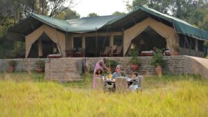 3 Days, 2 Nights Maasai Mara Premium Safaris thumbnail 4