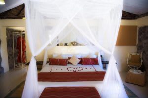 Mbweha Camp thumbnail 4