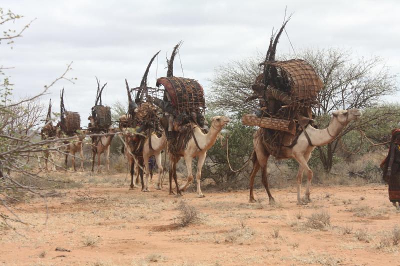 4 Nights, 5 Days Northern Kenya thumbnail 2