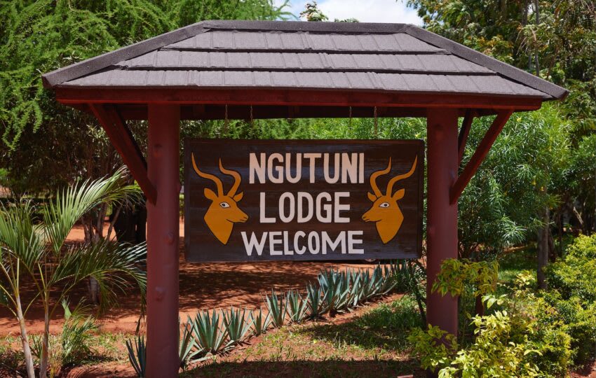 Ngutuni Lodge thumbnail 3