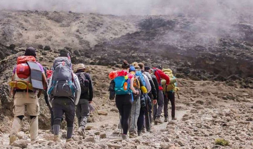 7 Days Mt Kilimanjaro: Machame out Mweka / Tusker Route thumbnail 2